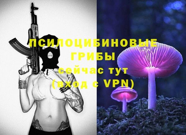 a pvp Богородск