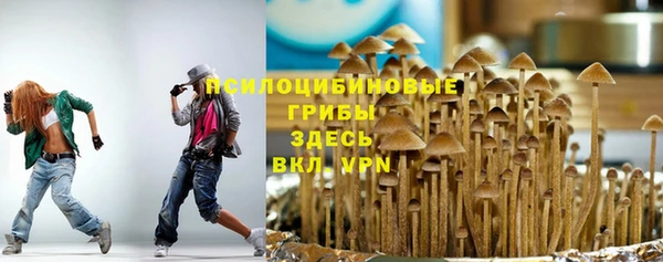 a pvp Богородск