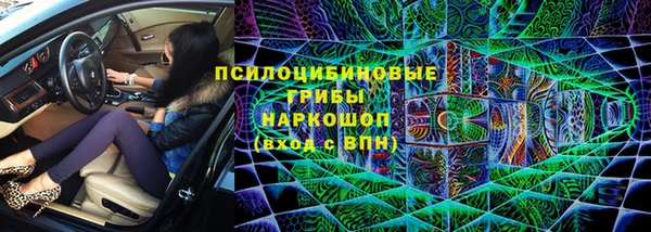 дмт Богородицк