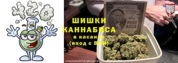 дмт Богородицк